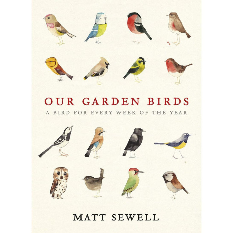 Our Garden Birds: a stunning illustrated guide to the birdlife of the British Isles by Matt Sewell