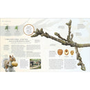 The Tree Book: The Stories, Science, and History of Trees by DK