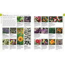 RHS What Plant Where Encyclopedia by The Royal Horticultural Society 9781409382973