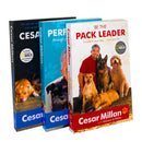 Cesar Millan 3 Books Collection Set (How to Raise the Perfect Dog, Cesars Way, Be the Pack Leader)