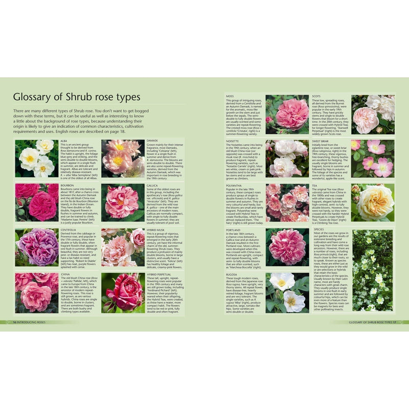 Alan Titchmarsh's How to Garden: Growing Roses