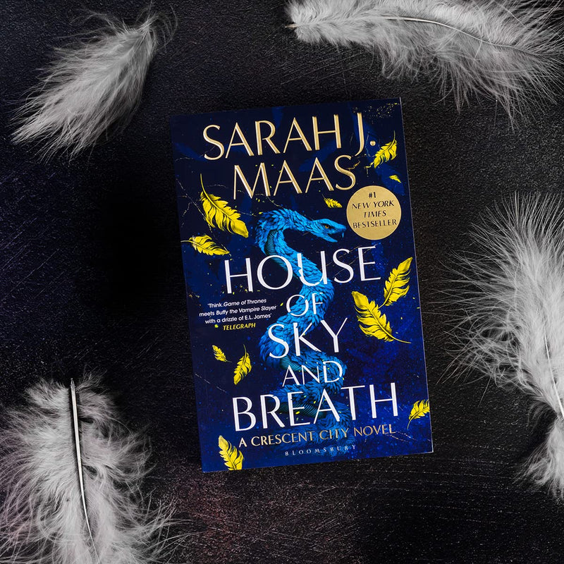 Crescent City Duology by Sarah J. Maas (House of Earth and Blood & House of Sky and Breath)