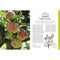 RHS Pruning And Training - Revised New Edition Over 800 Plants - What When And How To Prune