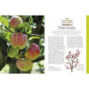 RHS Pruning and Training: Revised New Edition for Over 800 Plants