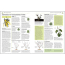 RHS Pruning and Training: Revised New Edition for Over 800 Plants