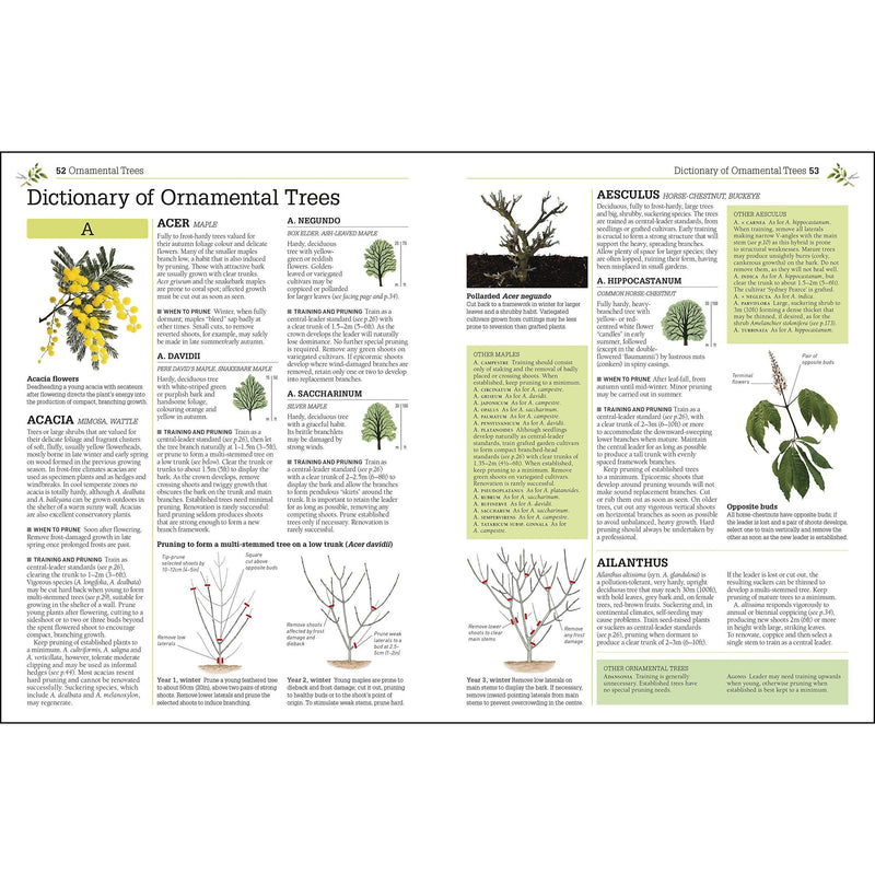 RHS Pruning and Training: Revised New Edition for Over 800 Plants