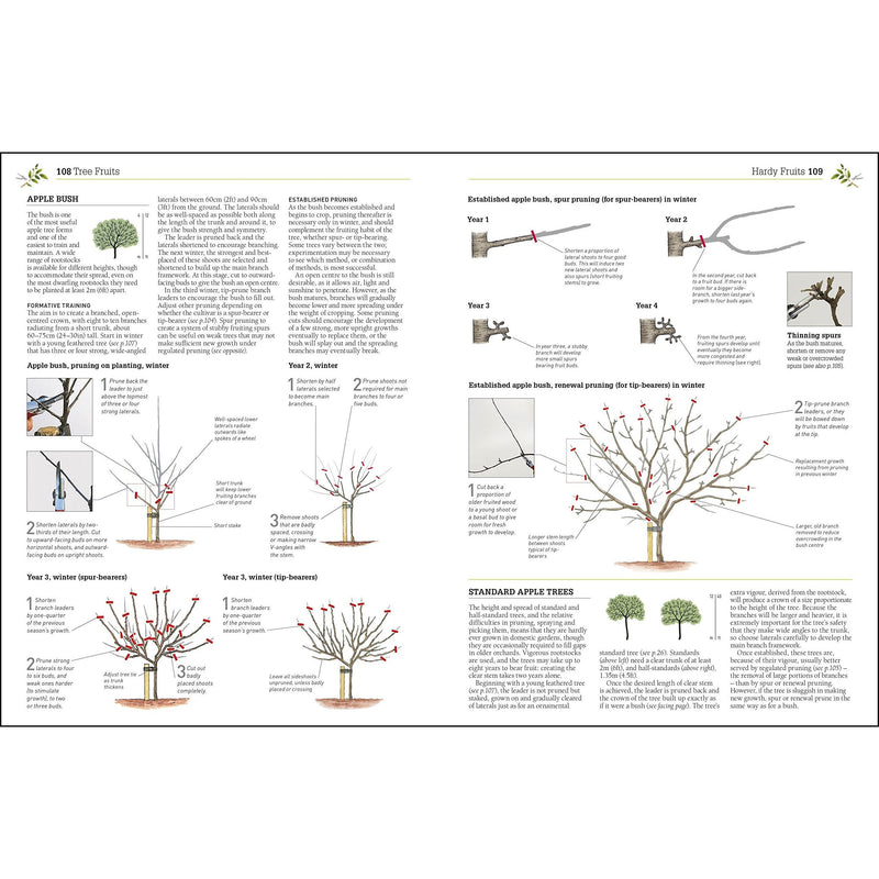 RHS Pruning And Training - Revised New Edition Over 800 Plants - What When And How To Prune