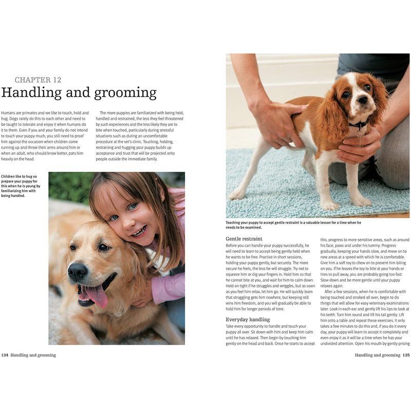 The Perfect Puppy: The Essential Puppy Care Guide by Gwen Bailey