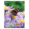 RHS Companion to Wildlife Gardening by Chris Baines