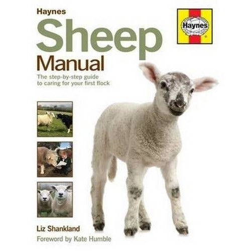 Sheep Manual - The Complete Step-by-step Guide To Caring For Your Flock - books 4 people